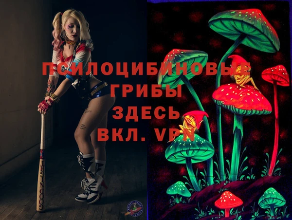 ешки Куйбышев