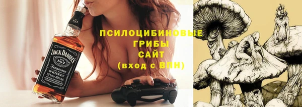 ALPHA PVP Горняк