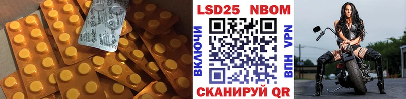 Лсд 25 экстази ecstasy  Гулькевичи 