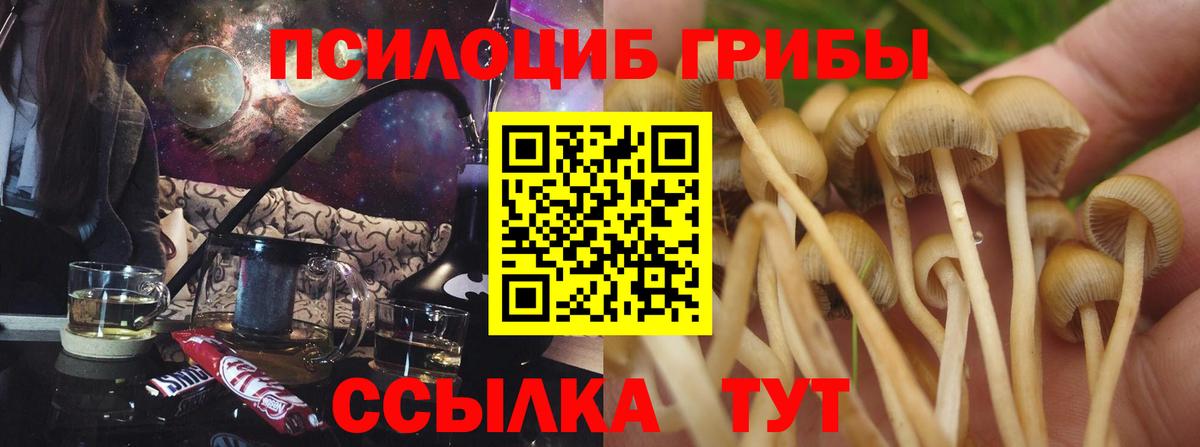 Галлюциногенные грибы Psilocybine cubensis  Вход с VPN  Гулькевичи  Псилоцибиновые грибы Magic Shrooms 